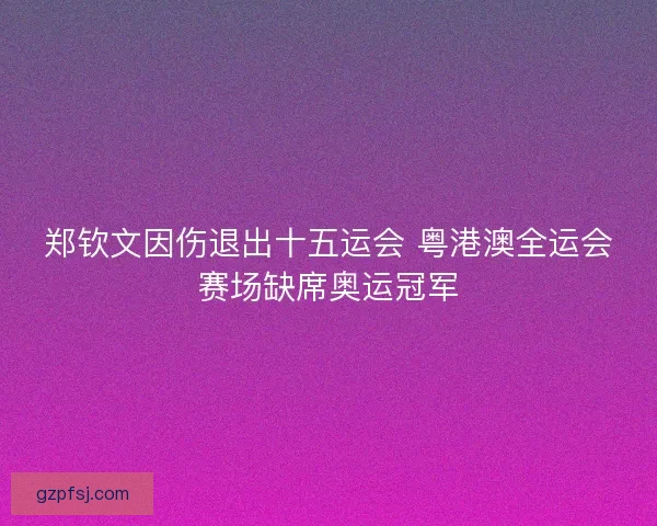 郑钦文因伤退出十五运会 粤港澳全运会赛场缺席奥运冠军