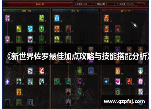 《新世界佐罗最佳加点攻略与技能搭配分析》