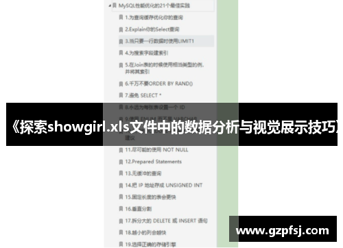 《探索showgirl.xls文件中的数据分析与视觉展示技巧》